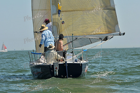2013 Southern Bay Race Week C 1133