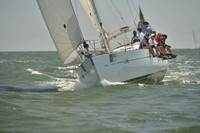 2017 Charleston Race Week A_0765