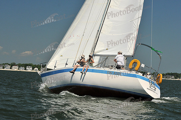 2013 Southern Bay Race Week C 1402