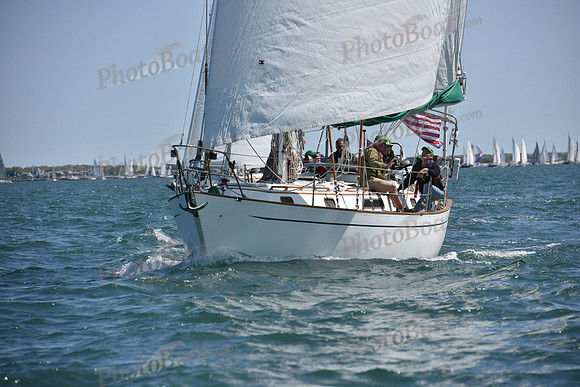 2019 Figawi_0493