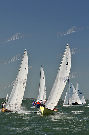 2012 Thistle Midwinters C 242