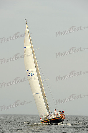 2013 Vineyard Race B 456