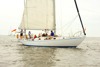 Blue Goose