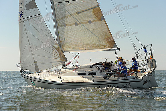 2014 Charleston Race Week A 503