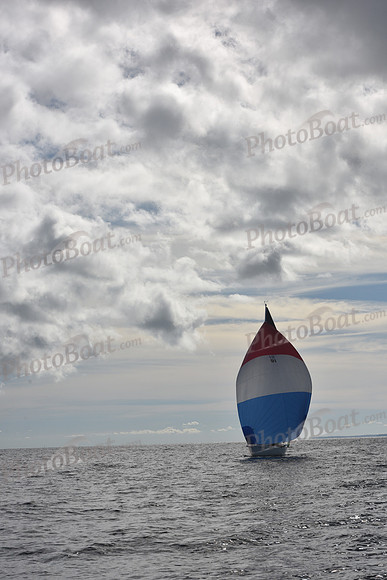 2022 Vineyard Race B_0093