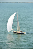 2015 Charleston Race Week C 494