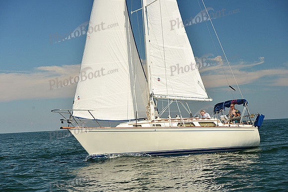 2015 Cape Charles Cup C 311