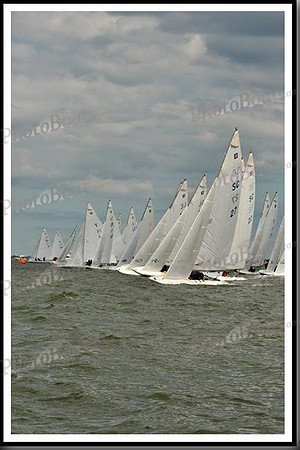 proof_2010_EScows_B 172