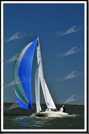 proof_2010_EScows_D 1238
