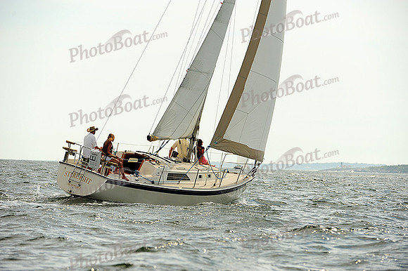 2014 NYYC Race Week A 776