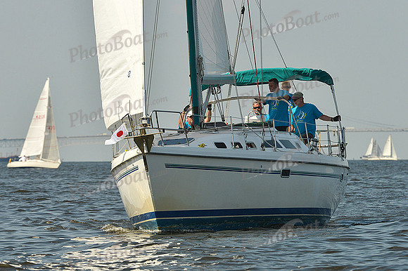 2015 Gov Cup A 503