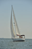 2017 Southern Bay Race Week B_1116