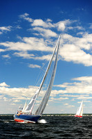 2014 Vineyard Race A 340