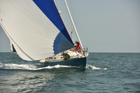 2018 Vineyard Cup A_1163