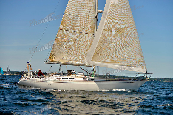 2017 Vineyard Race A_0514