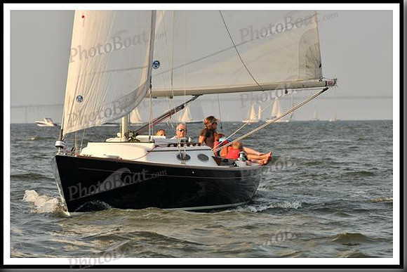proof_2010 Gov Cup A 463
