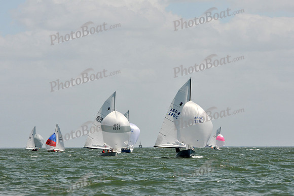 2012 Thistle Midwinters B 1308
