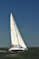 2014 Southern Bay Race Week D 355