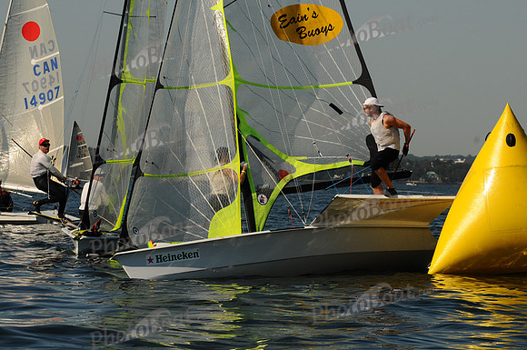 2011 HPDO A 2491