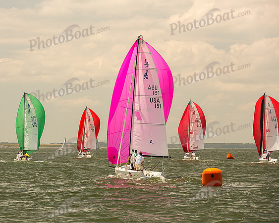 DBP_7530