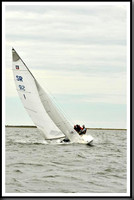 proof_2010_EScows_A 602