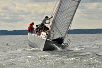 2010 IRC LIS 445