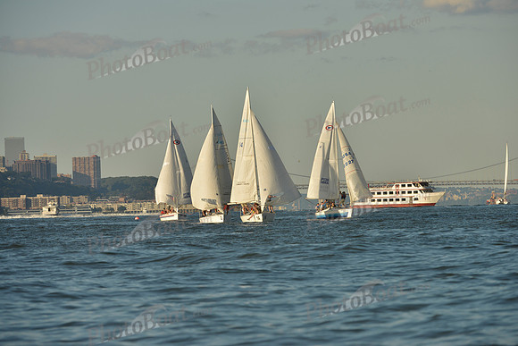 2016 NY Architects Regatta_1168