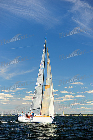 2014 Vineyard Race A 1356