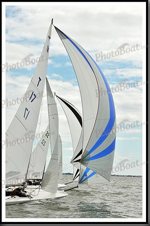 proof_2010_EScows_A 721