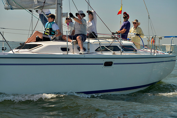 2017 Southern Bay Race Week B_0523