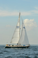 2015 Denmark Race A 608