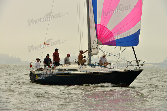 2016 Southern Bay Race Week A_0392