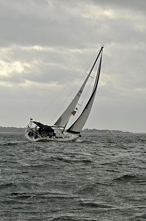 2009 J105 NAs D 1253