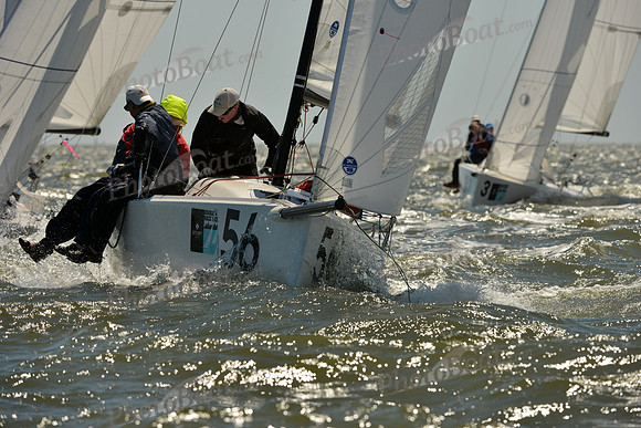 2016 Charleston Race Week F_0482