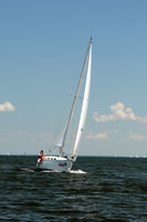 2011 Screwpile A 2426