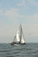 2015 Vineyard Race B 309
