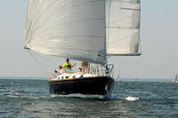 2012 Vineyard Race A 248