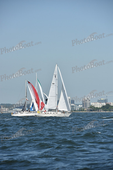 2019 Vineyard Race A_0202