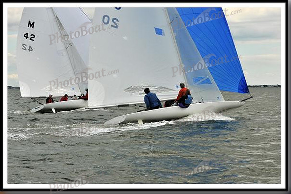 proof_2010_EScows_B 495