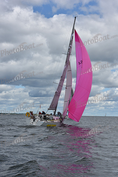 2021 Vineyard Race A 0940