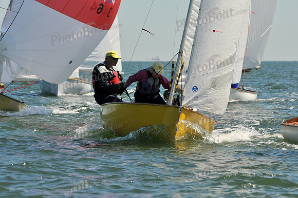 2012 Thistle Midwinters A 564