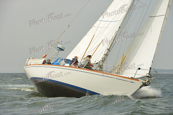 2015 Vineyard Race A 305