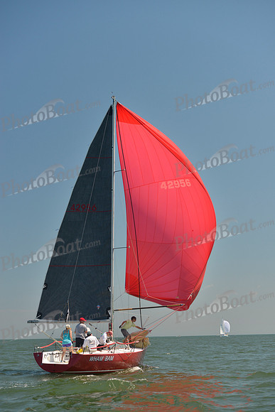 2017 Southern Bay Race Week B_0789