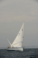 2016 Chester Race Week C_0599
