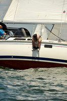 2015 Southern Bay Race Week C 820