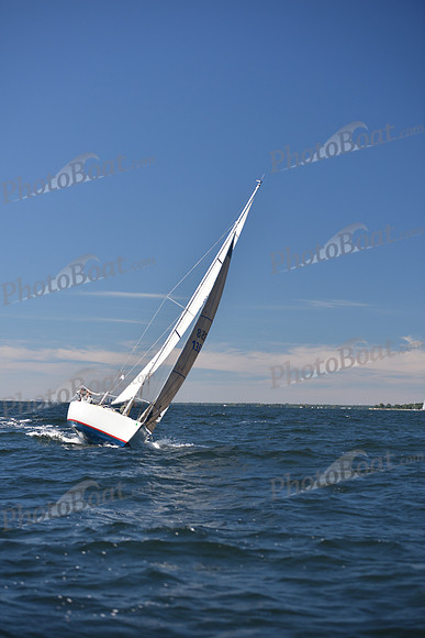 2022 Vineyard Race A_0213
