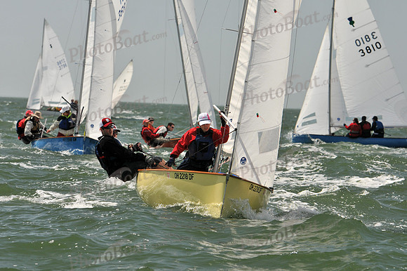 2012 Thistle Midwinters B 1155