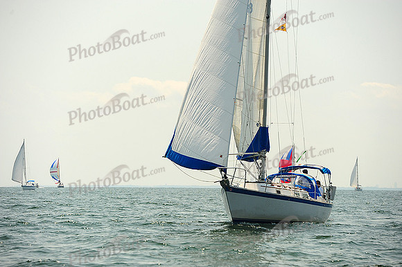 2014 Cape Charles Cup A 576