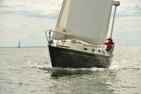 2016 Vineyard Race A_1740
