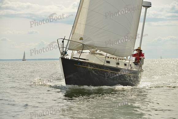 2016 Vineyard Race A_1740